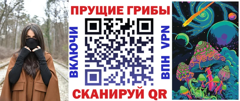 blacksprut зеркало  Заволжье  Галлюциногенные грибы мицелий 